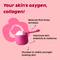 Plix Collagen Booster Supplement Powder Rose Flavour (200g)