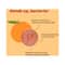 Plix Vitamin C Immunity Booster Effervescent Tablets Orange Flavour (60 Tablets)