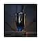 Rabanne Invictus Victory Elixir Eau De Parfum (100 ml)