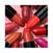 L.A. Girl Pretty & Plump Lipstick - GLC757 Juicy Peach (3.2 g)