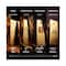 Paco Rabanne 1 Million Royal Eau De Parfum (200ml)