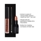 Star Struck by Sunny Leone Lip Gloss With Lip Liner & Lipstick Lip Kit - Bronze Beauty (3 Pcs)