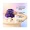 Anveya Semi Permanent Hair Color - Tokyo Purple (100ml)