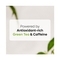 mCaffeine Complete Gt Skincare Regime - (4Pcs)