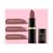 Iba Pure Lips Moisture Rich Lipstick - A42 Iced Mocha (4g)