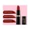 Iba Pure Lips Moisture Rich Lipstick - A66 Red Glam (4g)