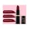 Iba Pure Lips Moisture Rich Lipstick - A72 Maroon Burst (4g)