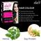 Iba Hair Color Henna Based For Women - Dark Coal (70g)