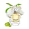 Roberto Cavalli Paradiso Eau De Parfum (50ml)