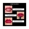 Stars Cosmetics Lush Lips Soft Creamy Lipstick - 10 Maroon Rebel (4.2g)