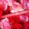 Daily Life Forever52 Velvet Rose Matte Lipstick RS004 - Malibu (2.5g)