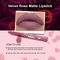 Daily Life Forever52 Velvet Rose Matte Lipstick RS015 - Iris (2.5g)