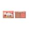 Benefit Cosmetics Blush & Bronzer Duo - Hoola Beach Vacay (5g)