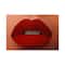 Lady Burgundy Matte Lip Cream Liquid Lipstick - Rita (7ml)