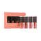 Matt Look Power Stay Matte Liquid Lipstick - Nude Spice (4Pcs)