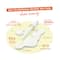 Simple 10% Vitamin C + E + F For Youthful Glowing Skin Booster Serum (15ml)