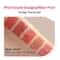 ETUDE HOUSE Fixing Tint Lipstick #12 - Salmon Brick (4 g)