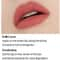 ETUDE HOUSE Fixing Tint Lipstick #12 - Salmon Brick (4 g)