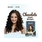 BBlunt Salon Secret High Shine Creme Hair Color - 3 Chocolate Dark Brown (152ml)