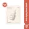 Innisfree Black Tea Enhancing Ampoule Mask (28ml)