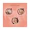 Lakme Peach Milk Soft Creme (300g)