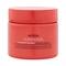 Aveda Nutriplenish Treatment Masque Deep Moisture (25ml)