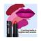 Blue Heaven Intense Matte Lipstick - Pinkfrost 305 (4 g)