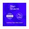 Blue Heaven Sculpt & Set Eyebrow Gel - Grey (8g)