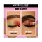 Maybelline New York Color Rivals Longwear Eye Shadow Duo - Spicy X Suave (3g)