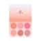 Europe Girl Blush Kit - Multi-Color (50g)