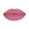 PAC Matte Addict Liquid Lipstick - Pinch Of Posh (5.5ml)