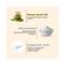 The Skin Story Holistic Face Serum (40ml)