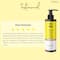 The Love Co. Sunscreen Lotion + Honeymoon Body Wash Combo (Pack of 2)