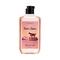 THE LOVE CO. Travel Japan Body and Shower Gel (250ml)