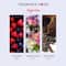 THE LOVE CO. Night Kiss Body Wash (295ml)