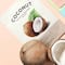 It's Skin The Fresh Mask Sheet - Coconut (20 ml)