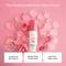 Foxtale Essentials Multivitamin Rose Mist & Toner With Niacinamide, Rose Extract (100ml)