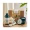 Treat Your Skin With The Body Shop Almond Milk Small Gift Set (5 pcs)