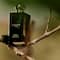 Jo Malone London Cypress & Grapevine Cologne Intense (100ml)