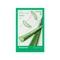 Innisfree Aloe Energy Sheet Mask (22ml)
