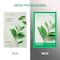 Innisfree Green Tea Energy Sheet Mask (22ml)