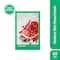Innisfree Pome Energy Sheet Mask (22ml)