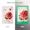 Innisfree Pome Energy Sheet Mask (22ml)