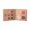 MARS City Paradise Makeup Kit - Chandigarh (16g)