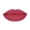 PAC Intimatte Lipstick - I'M Yours (4g)