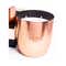 Seva Home Heirloom Berries Rose Gold Candle (2 Pcs)