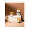 Seva Home Enchante Divine Collection Candle (3 Pcs)