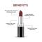 Renee Cosmetics Stunner Matte Lipstick - Raging Raven (4 g)