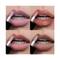 Renee Cosmetics See Me Shine Minis Gloss Party Lip Gloss Set - (4 pcs)