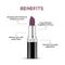 Renee Cosmetics Stunner Matte Lipstick - Your Highness (4 g)